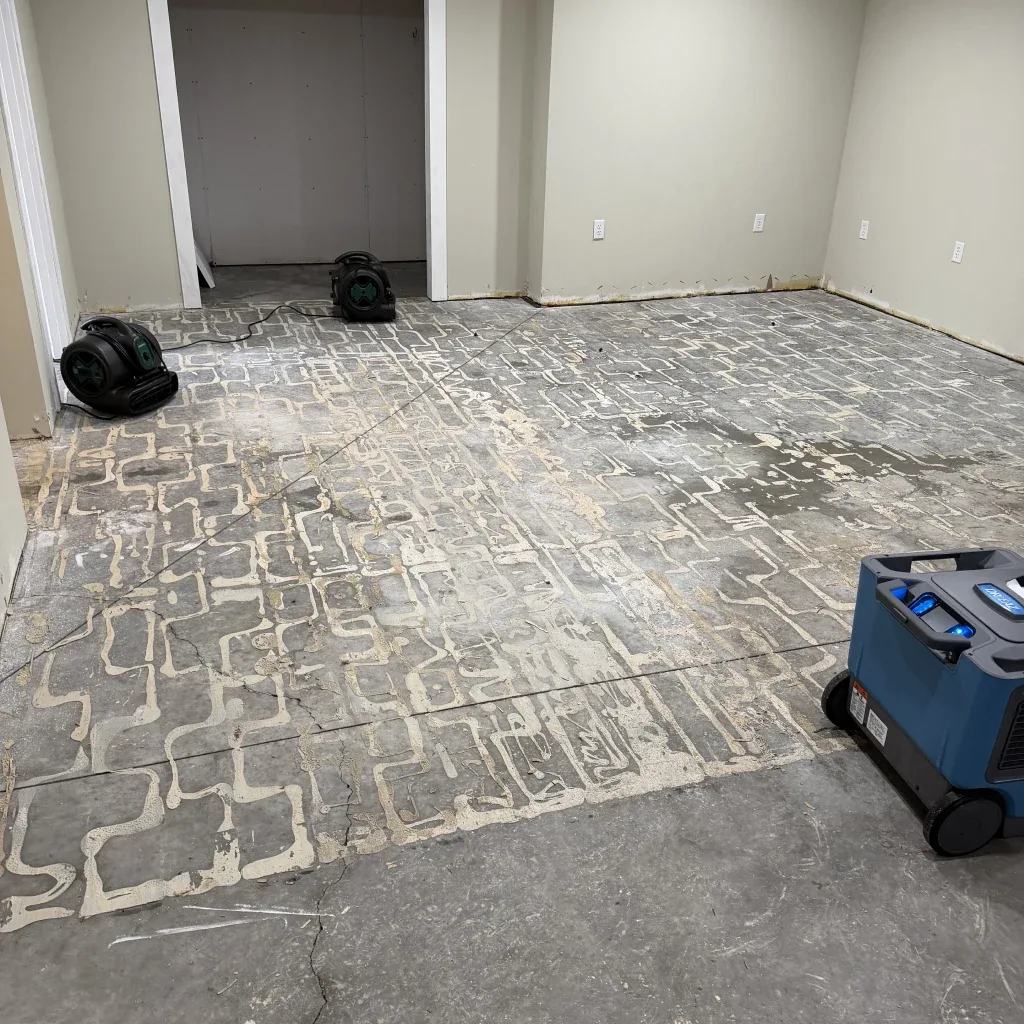 Moisture damage risks under Iowa homes crawl space encapsulation experts